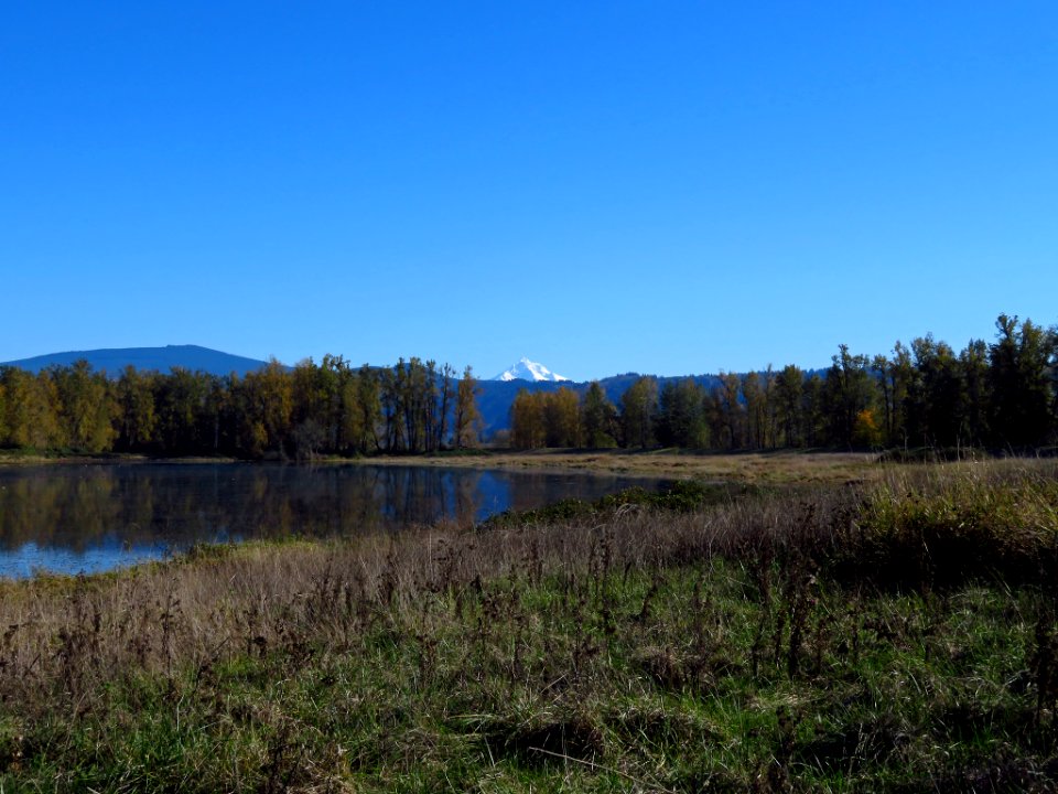 Autumn at Steigerwald Lake NWR in WA