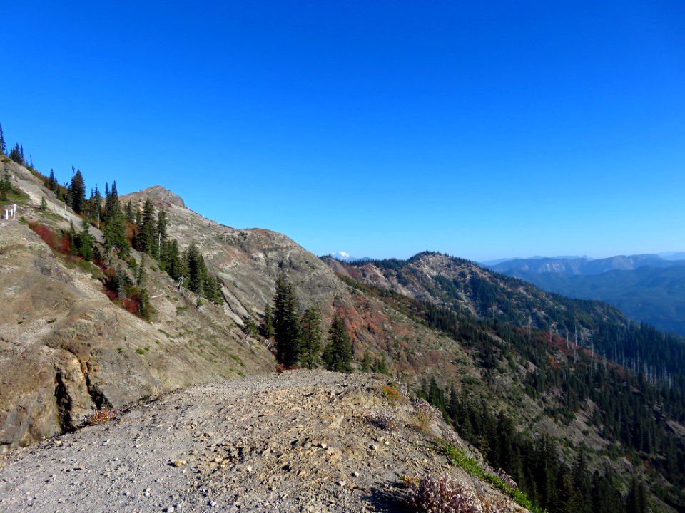 Ape Canyon Trail in WA