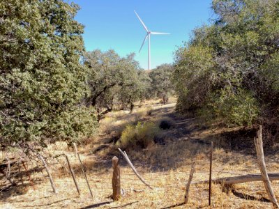 Jawbone-Butterbredt Area of Critical Environmental Concern in the Ridgecrest Field Office