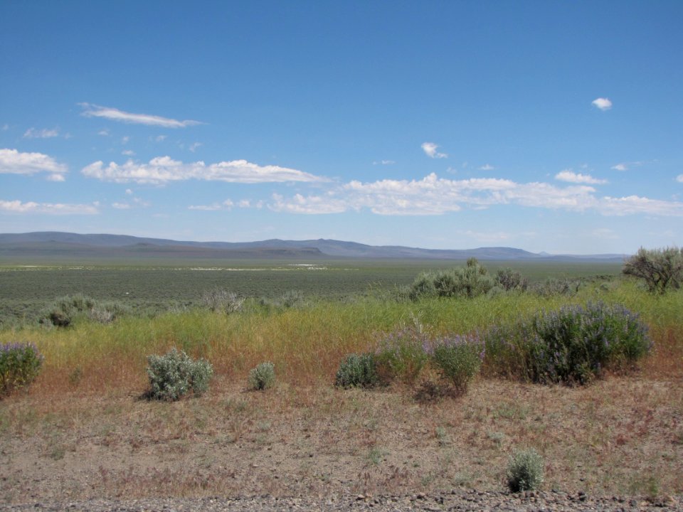 Surprise Valley Barrel Springs Back-Country Byway