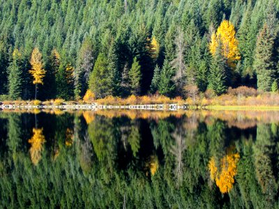 Trillium Lake at Mt. Hood in OR