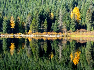 Trillium Lake at Mt. Hood in OR photo