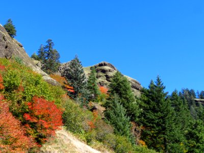 Saddle Mountain Trail in OR
