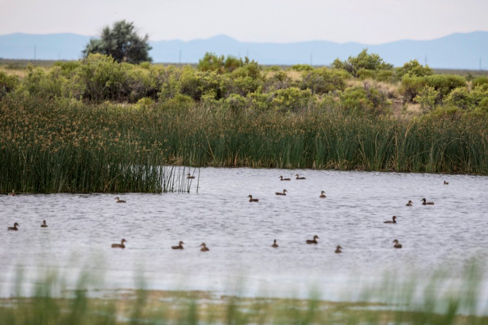 Blanca Wetlands Recreation Area