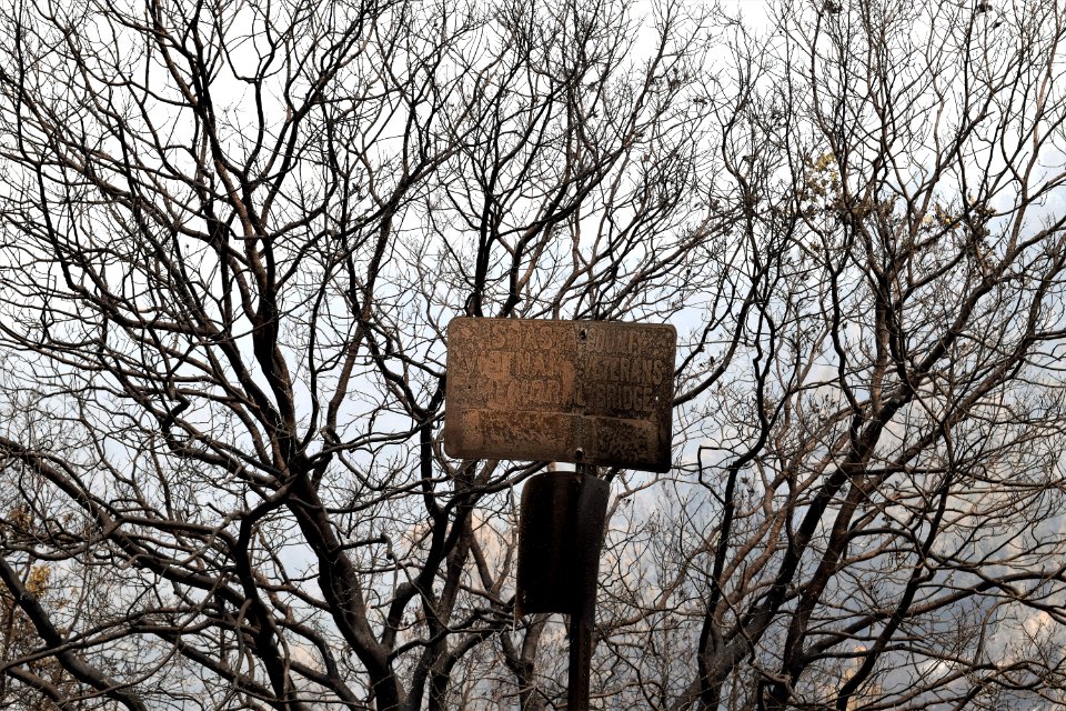 2018 Carr Fire