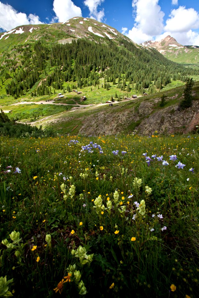 Alpine Triangle