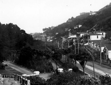 49; Botanic Garden, Glenmore Street - 1930