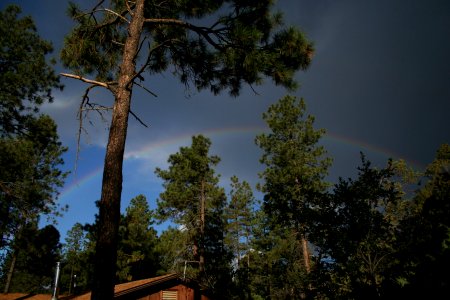Rainbow Arches