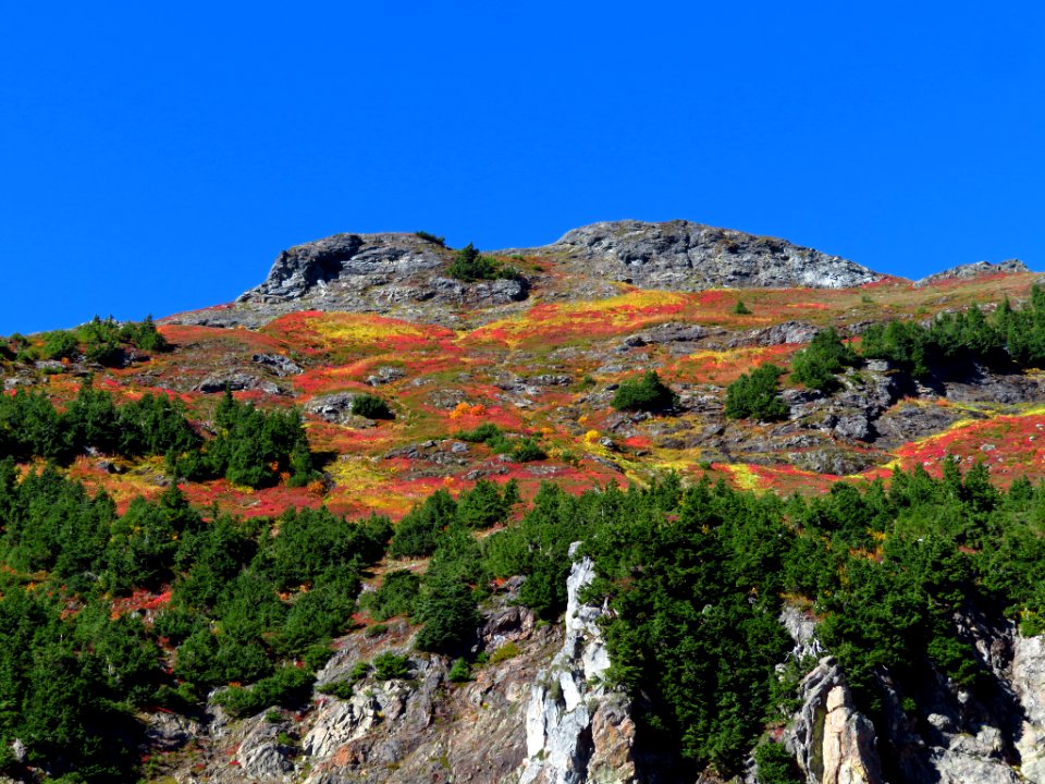 Autumn at Yellow Aster Butte in WA