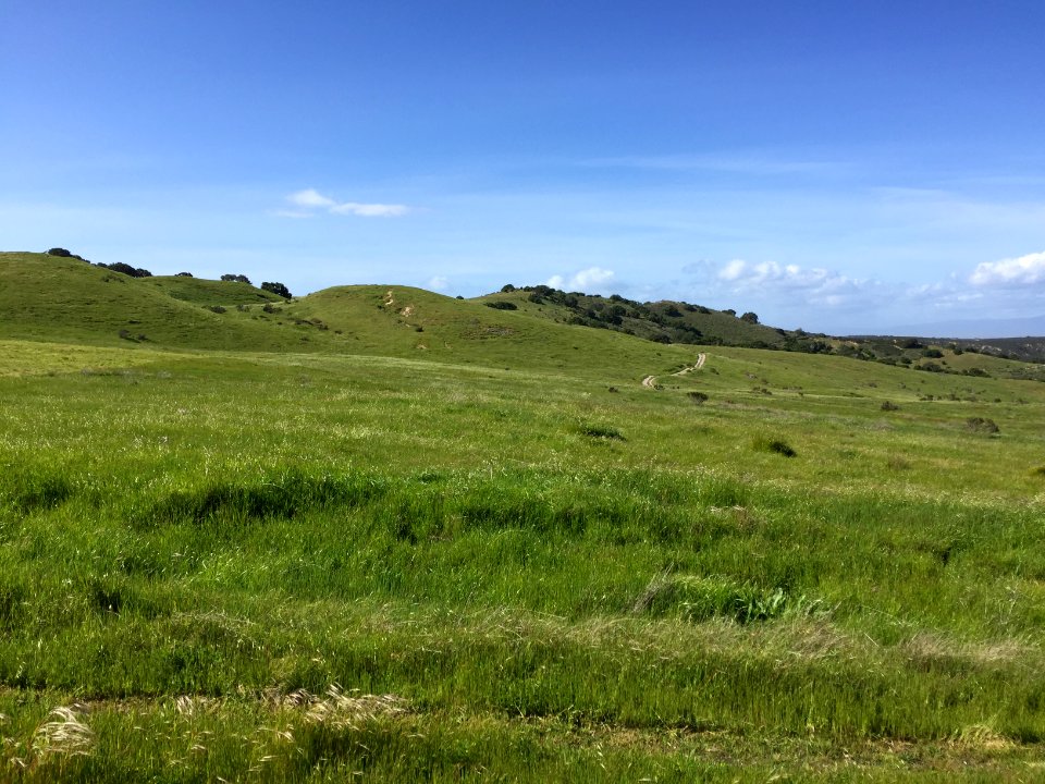 Fort Ord National Monument