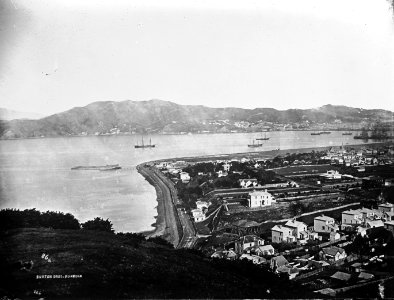 67; Elevated view of Thorndon - 1868 - Glass Plate Negative