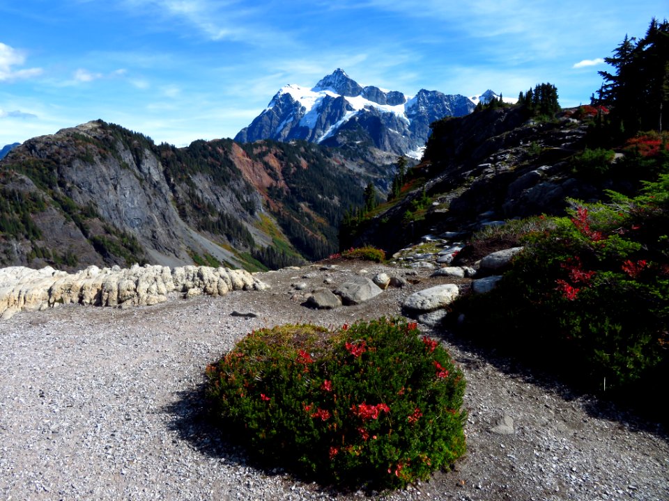 Mount Shuksan in WA