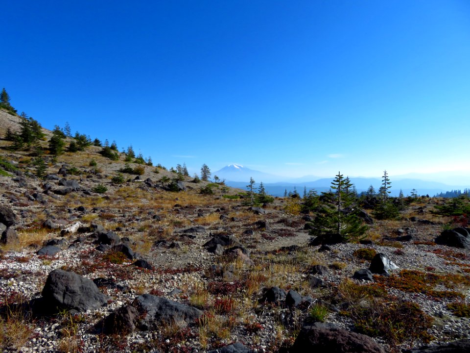 Ape Canyon Trail in WA
