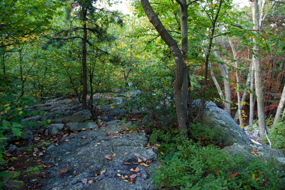  DSC0135
