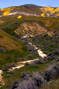 Wallace Creek after Spring Rains by Esther Livingston