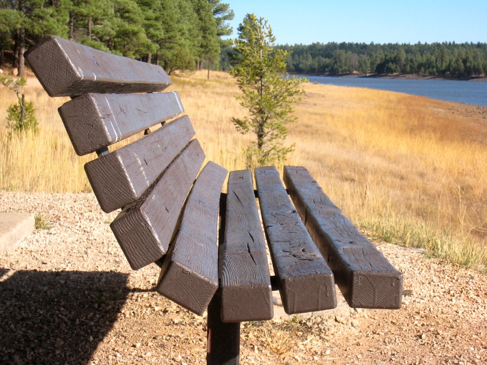 Bench View