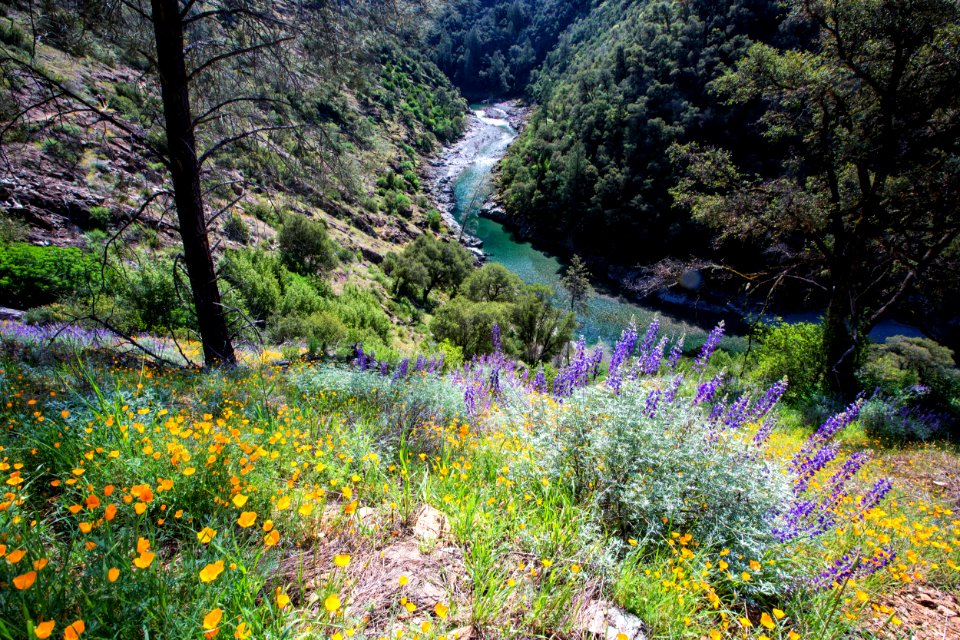 North Fork of the American River
