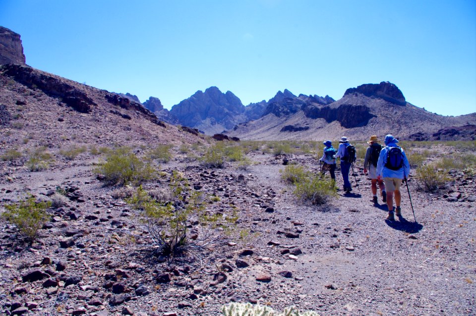 Turtle Mountains Wilderness