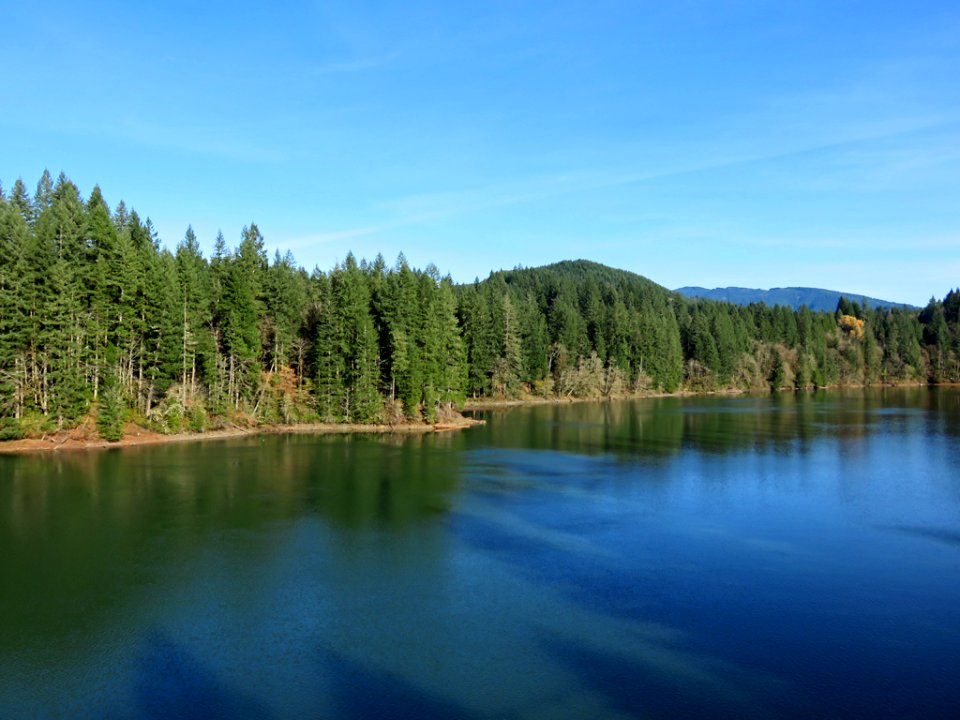 Yale Lake in Cougar, WA photo