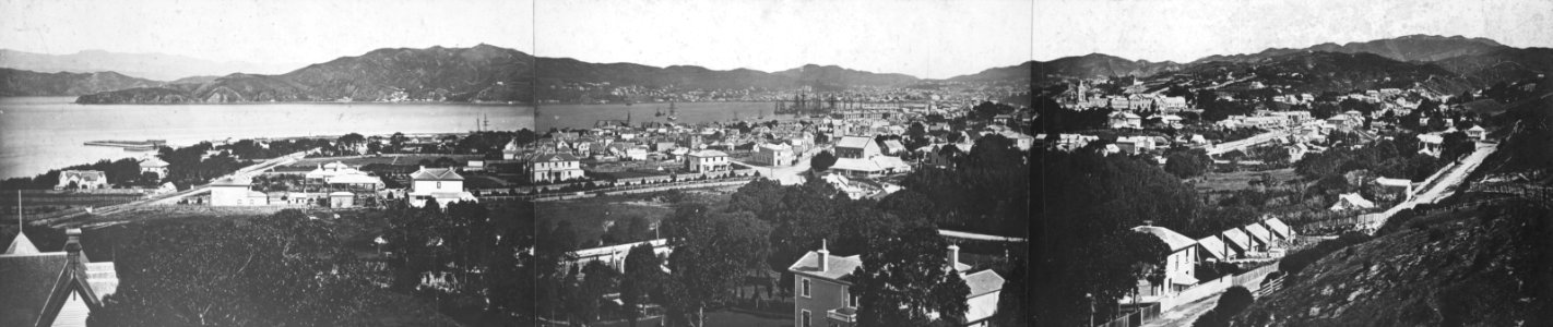 22; Panorama of Thorndon - Circa 1900