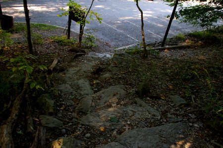  DSC0267