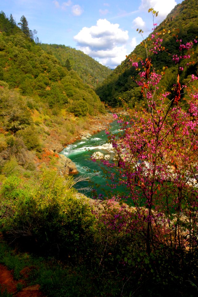 North Fork of the American River