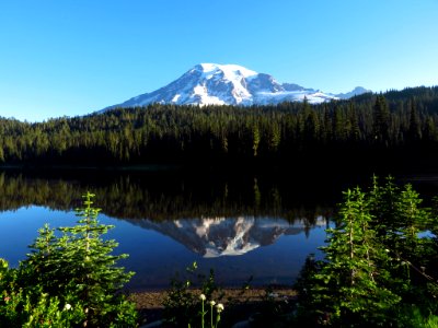 Reflection Lake at Mt. Rainier NP in WA