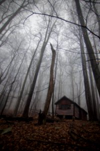 Cabin wide angle portrait dark