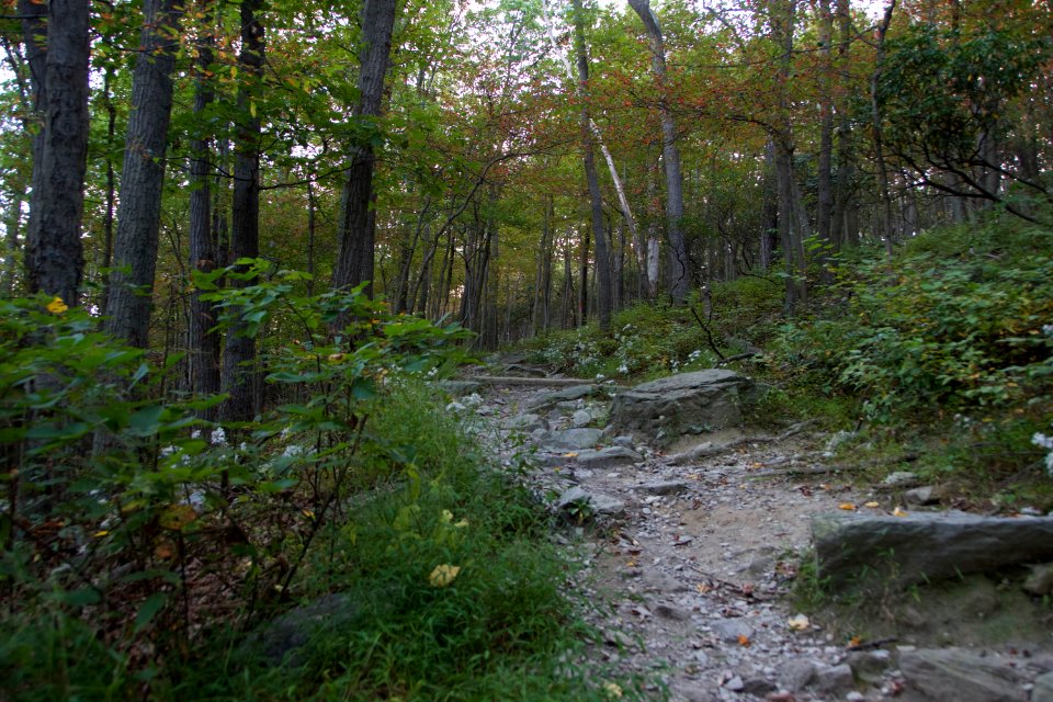  DSC0077