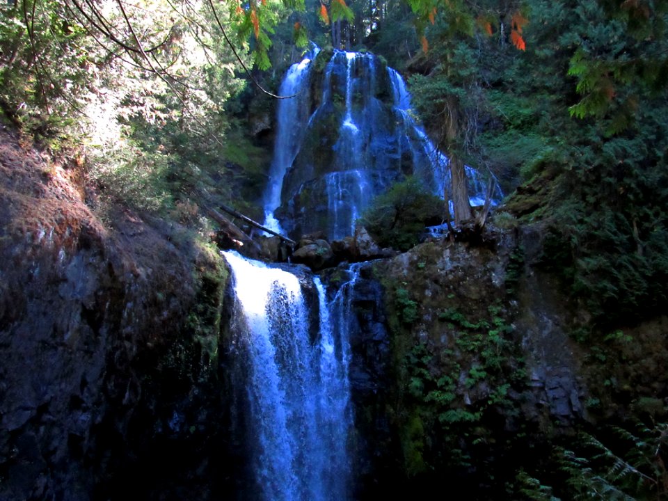 Falls Creek Falls Trail at Gifford Pinchot NF in WA