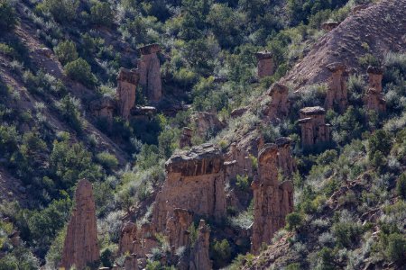 domin escalante nca-5