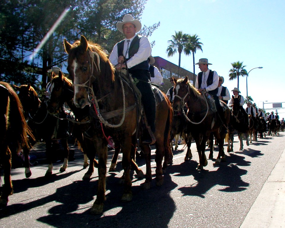 Row and Row of CowPersons