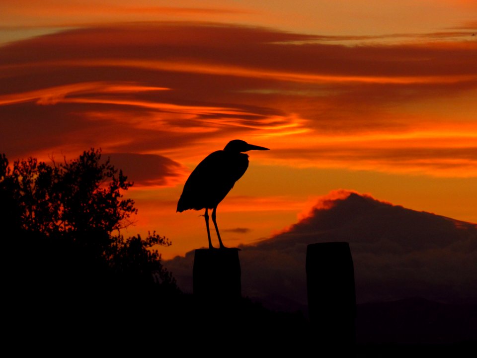 Sunrise at Columbia River and Mt. Hood