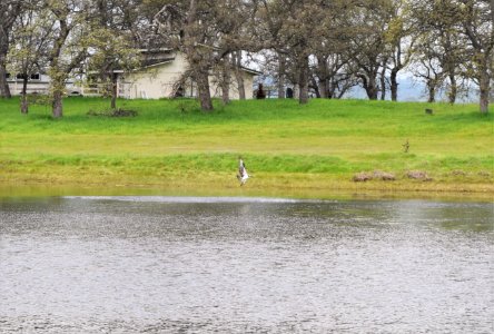 Kids Fishing Day 2017