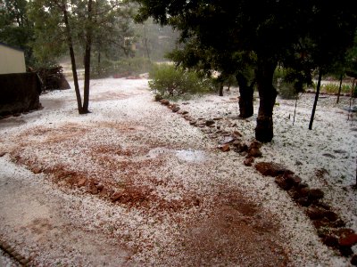 This is Summer in Arizona?