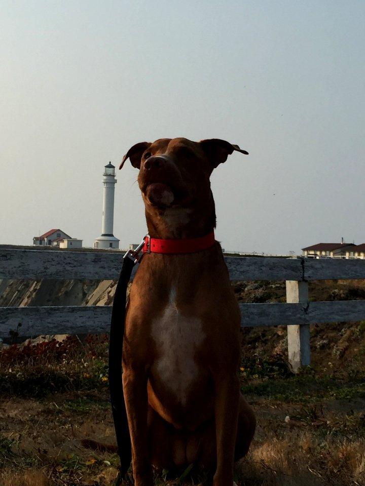 Night Watch Ready at Point Arena-Stornetta Unit of the California Coastal National Monument in Ukiah Field Office