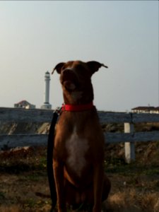 Night Watch Ready at Point Arena-Stornetta Unit of the California Coastal National Monument in Ukiah Field Office