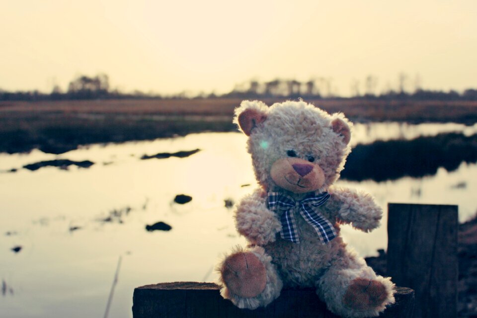 Soft toy bears stuffed animal