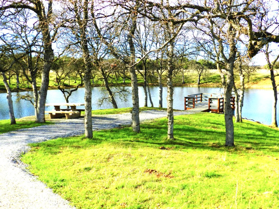 Sacramento River Bend Outstanding Natural Area