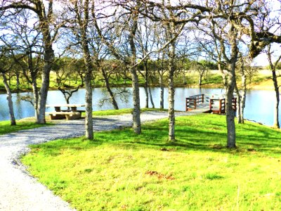 Sacramento River Bend Outstanding Natural Area