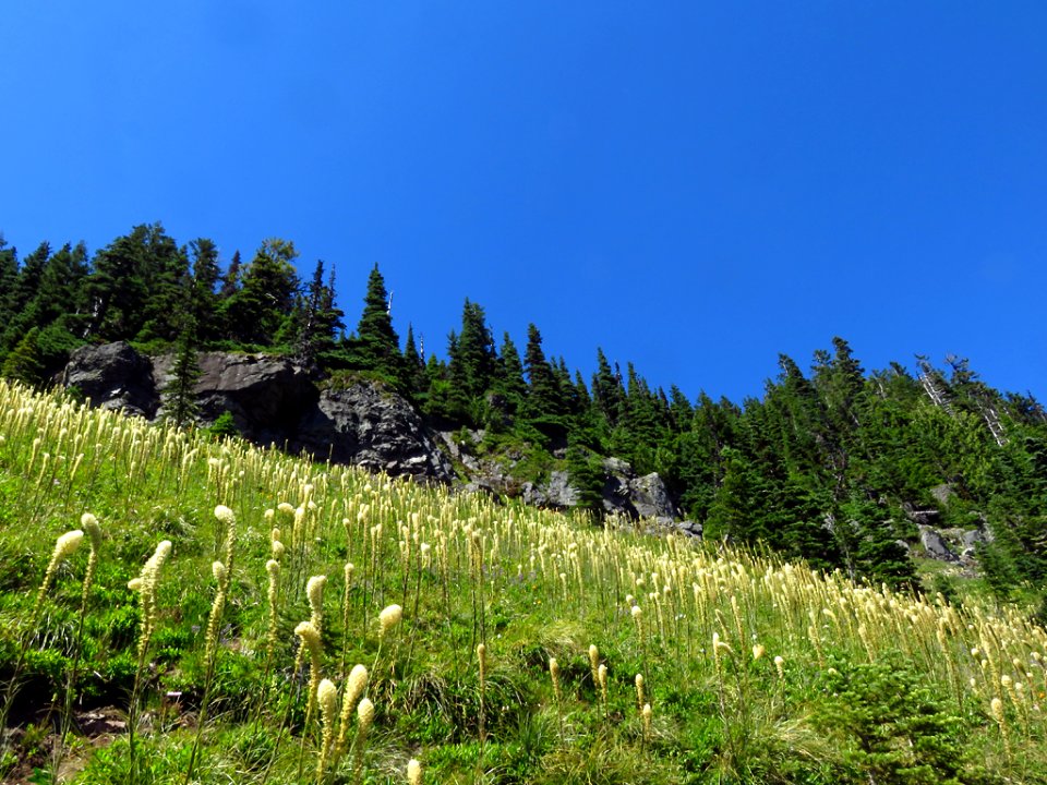 Tolmie Peak Trail at Mt. Rainier NP in WA
