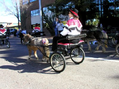 Off to the Races