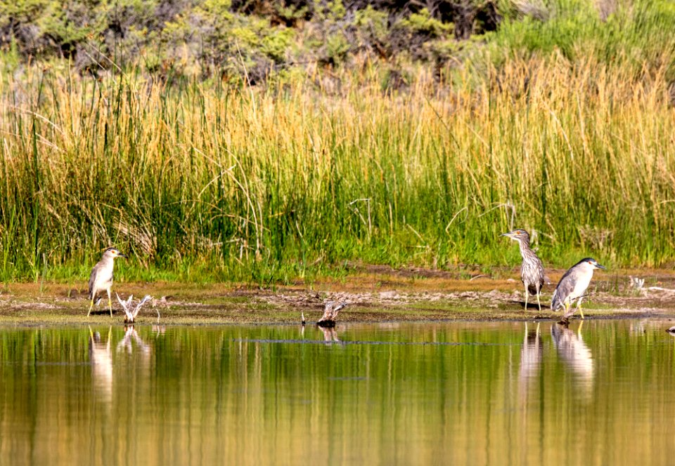 Blanca Wetlands Recreation Area