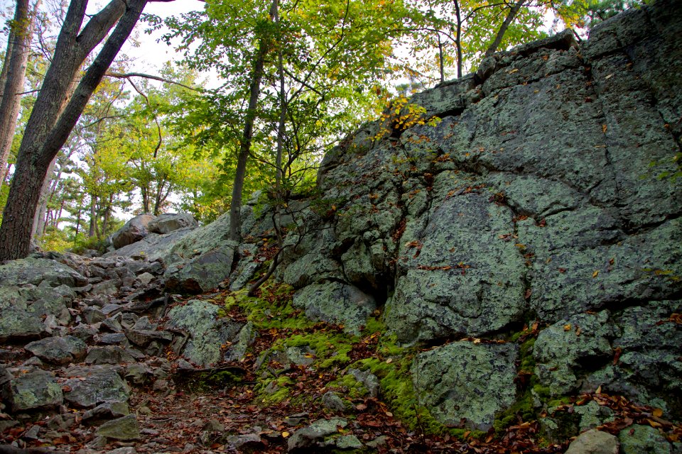 DSC0201