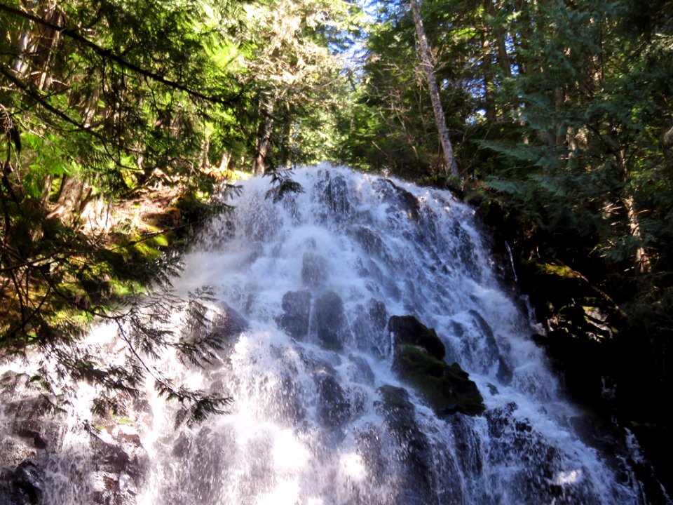 Ramona Falls Hike at Mt. Hood Wilderness in Oregon