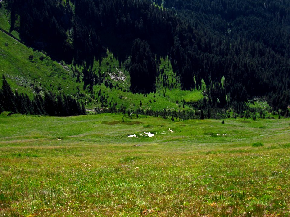 Tatoosh Wilderness in WA