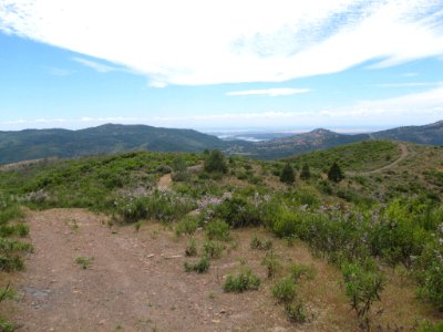 Big Oak Flat, California Overlooking New Melones Resevoir