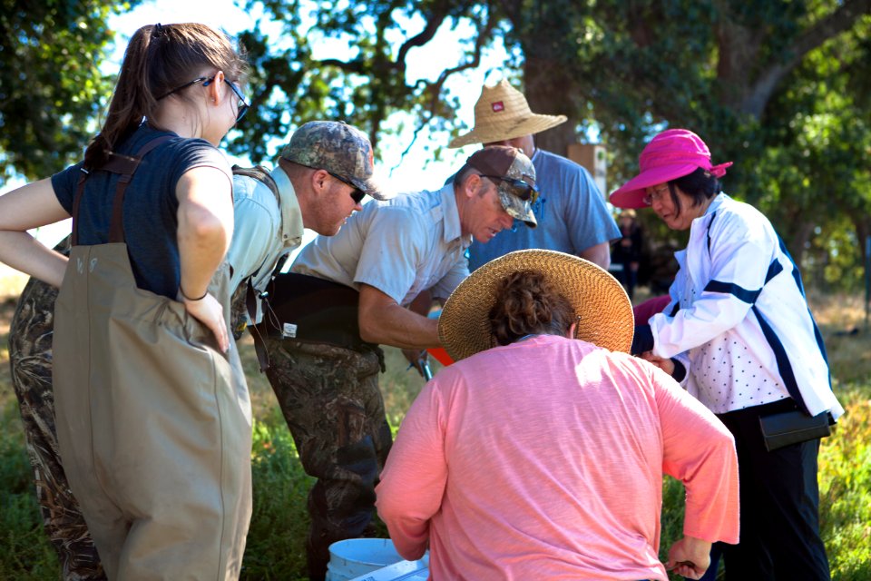 Teacher's Day - Cataloging aquatic species
