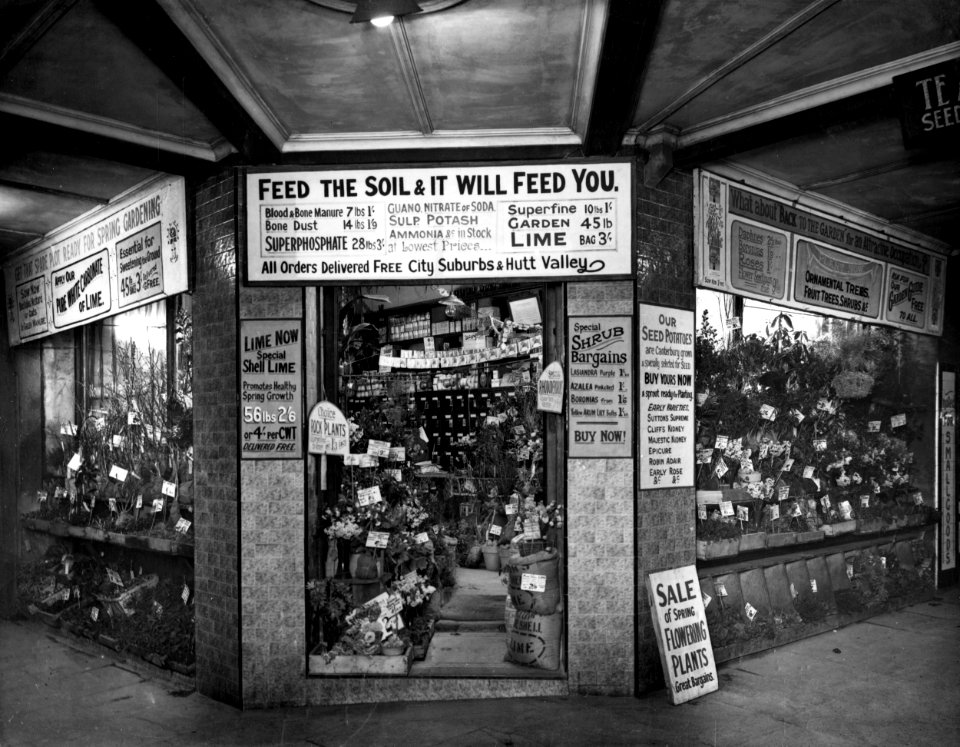 8; Te Aro Seed Company, shop front, Courtenay Place