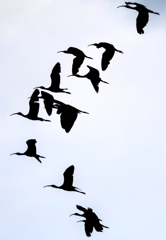 Blanca Wetlands Recreation Area